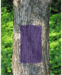 Rust-Oleum 12-Ounce Purple No Hunting Spray Paint