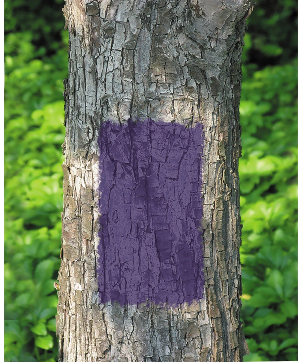 Rust-Oleum 12-Ounce Purple No Hunting Spray Paint