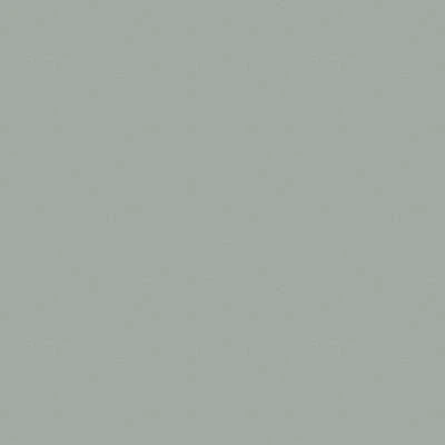 Rust-Oleum Interior/Exterior Paint: For Metal/Wood, Silver Gray, 1 Gal Size, Oil, Less Than 340g/L, High Gloss - Image 2